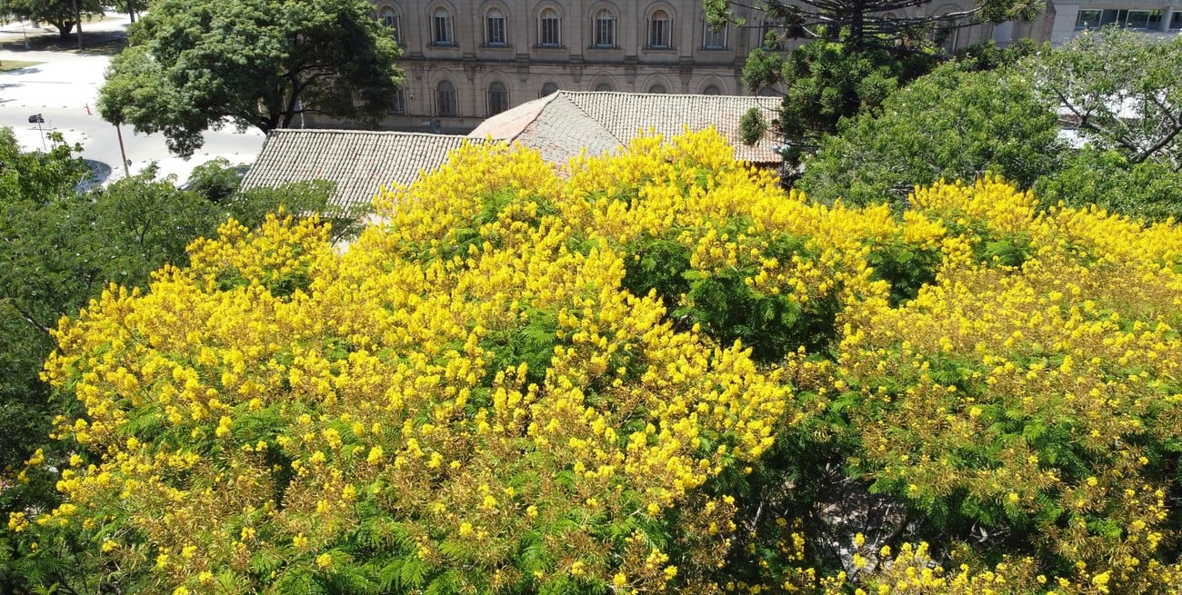 La Municipalidad de Santa Fe y la UNL se unen para estudiar la biodiversidad urbana