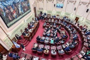 Últimos plenarios. La imagen de la Convención ayer, en pleno. Foto: Gentileza