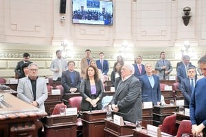 Lewandowski y Capocetti en primer plano, sector que votó en particular en contra de varios artículos de la reforma. Manuel Fabatia