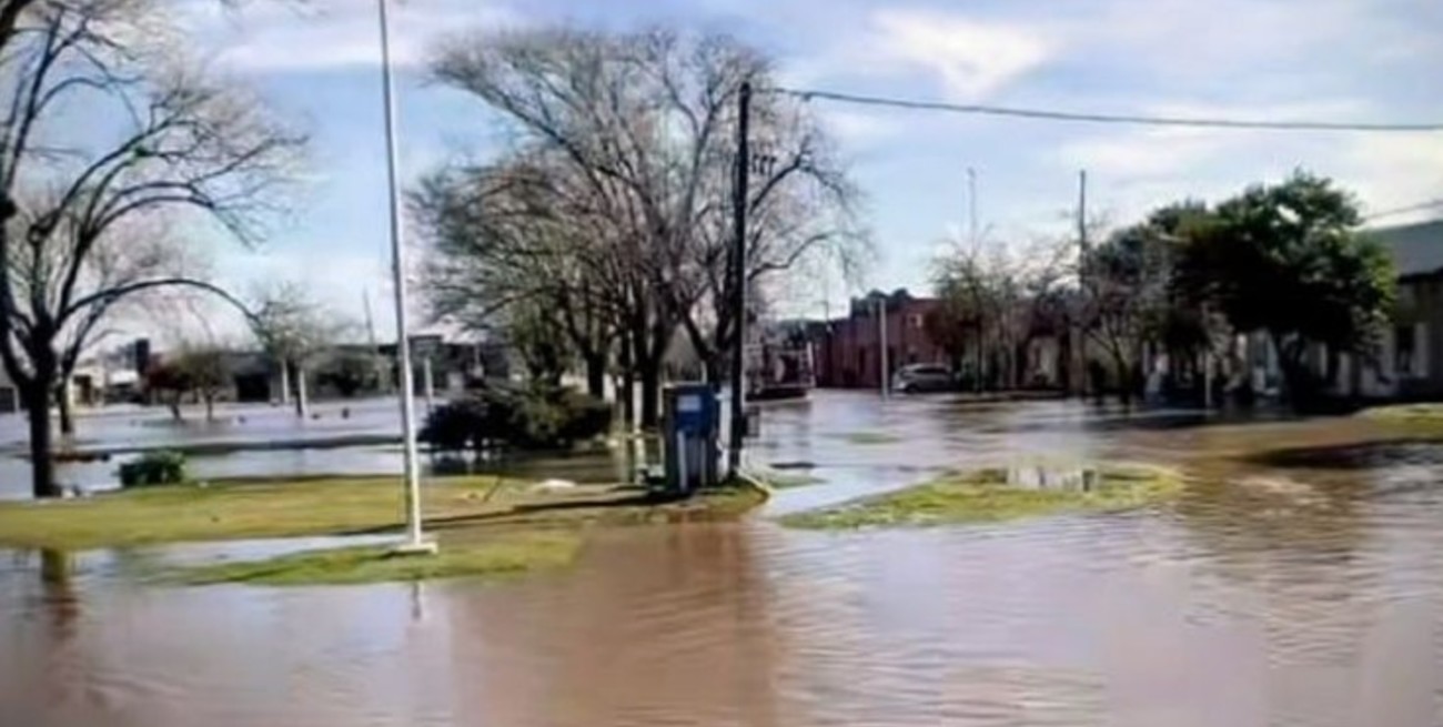 Aportes, donaciones y créditos para recuperar lo perdido en María Teresa