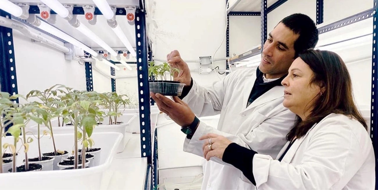Biotecnología: Argentina actualiza su normativa para liderar el mejoramiento genético global