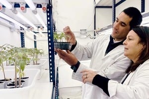 Argentina ratifica su posición pionera en regulación de biotecnología aplicada al agro