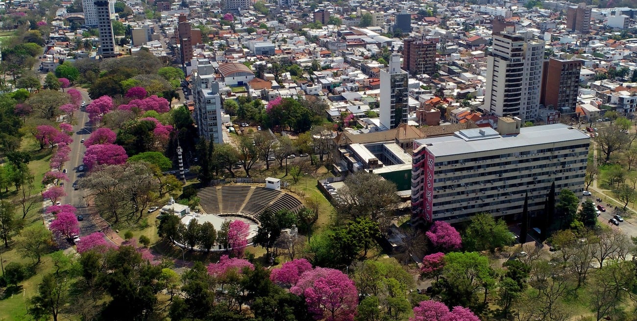 Proyectan comprar unos 96.000 plantines para que la ciudad de Santa Fe "explote" de flores: los detalles