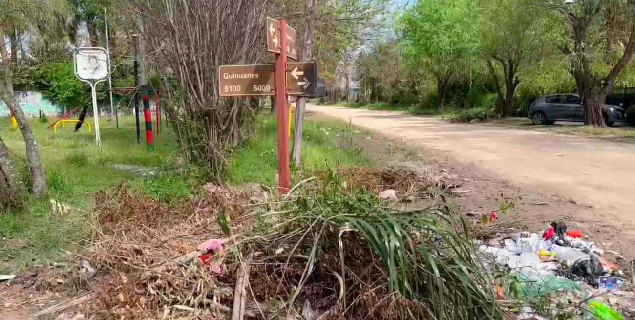 Colastiné Norte: vecinos advierten que viven entre microbasurales y quemas
