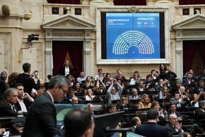 La Cámara de Diputados logró revertir los vetos presidenciales con fondos para Universidades y Hospitales pediátricos como el Garrahan. Foto: HCDN.