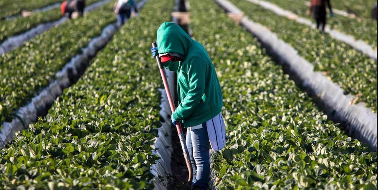 Las condiciones de vulnerabilidad, eje del juicio por trata laboral en un campo de Arroyo Leyes