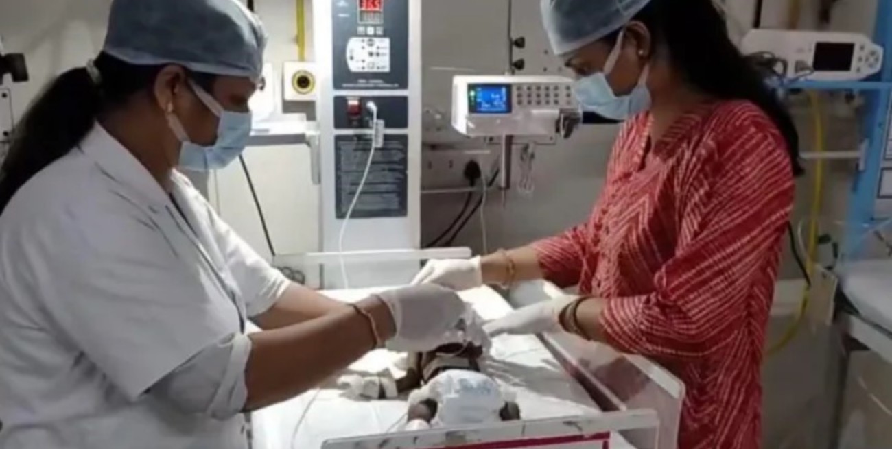 India: rescataron a una recién nacida que fue enterrada viva