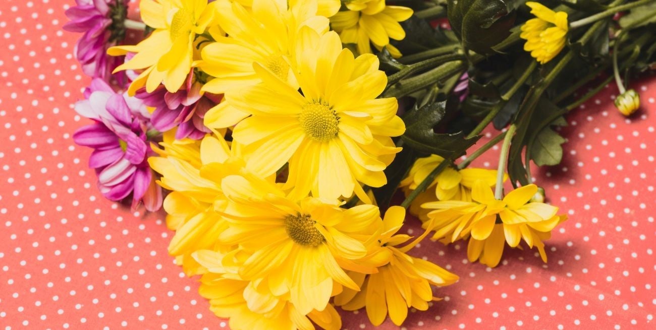 Por qué se regalan flores amarillas el 21 de septiembre y qué simboliza este gesto