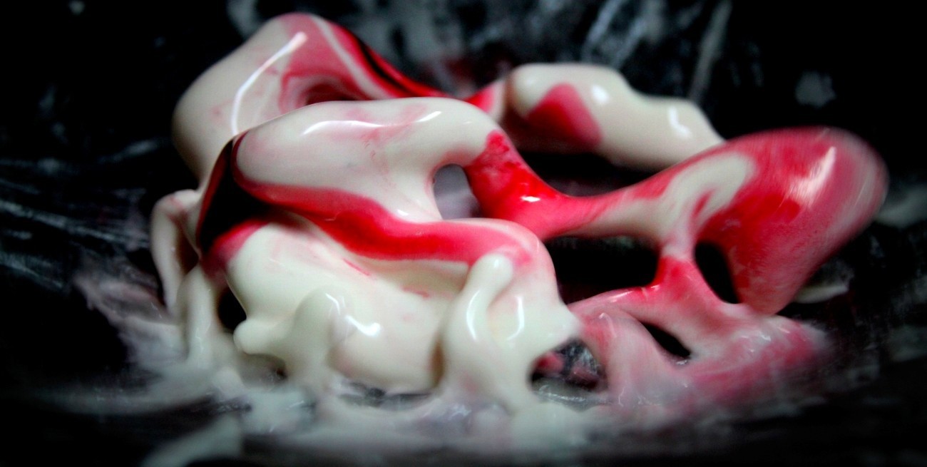 Se inauguró la muestra "Ciencia en Fotos" en el MAC