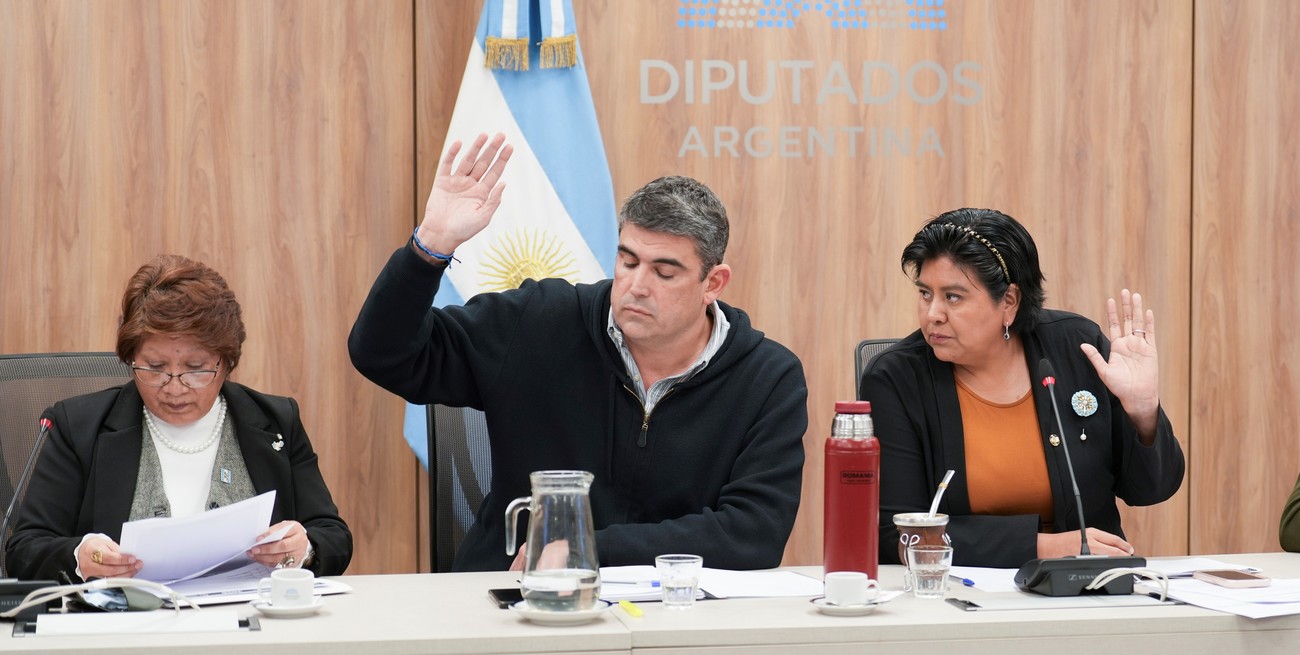 El Congreso ya tiene candidata al cargo de Defensora de la Niñez