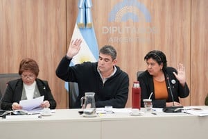 La Bicameral propuso la designación de María Paz Bertero como Defensora del Niño, Niña y Adolescentes. Foto: HCDN.