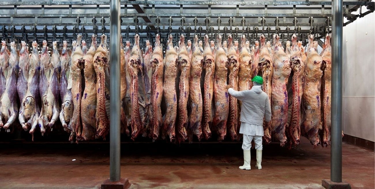 Hasta el 31 de octubre: el Gobierno eliminó retenciones a la carne vacuna y aviar