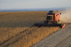 Referentes del sector agropecuario advierten que la medida impactará en otras cadenas productivas.