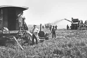 El trabajo en el campos es parte de nuestra historia. Archivo El Litoral