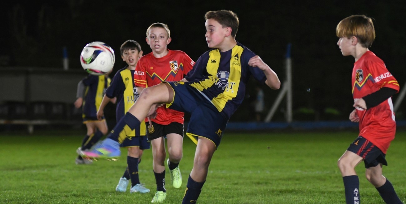 El Lagunerito va camino al éxito