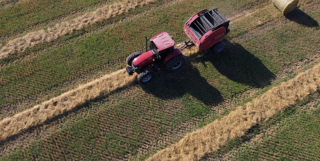 Las Bolsas reclaman largo plazo para liberar el potencial productivo del campo