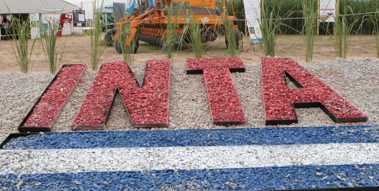 Restituyeron autoridades en organismos reguladores tras el freno legislativo