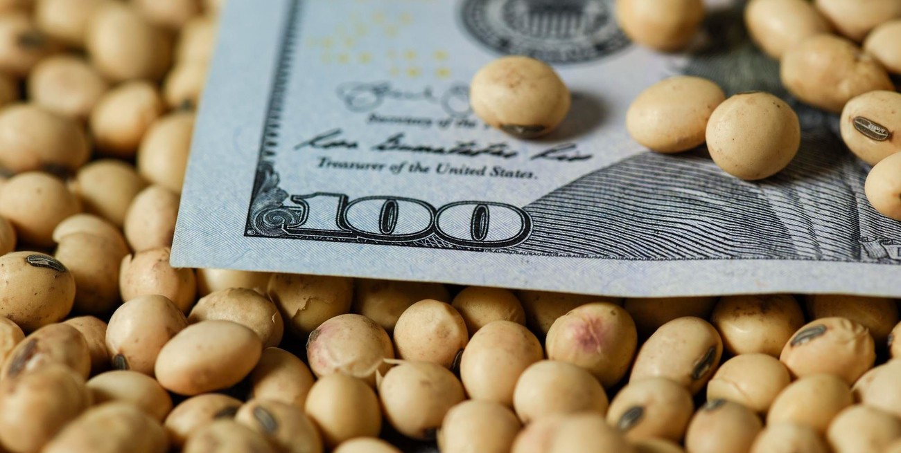 En dos días se liquidaron los 7 mil millones de dólares del agro a retenciones cero