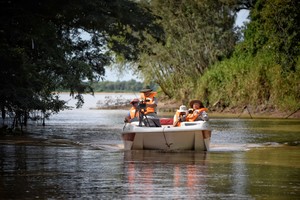 El arroyo Menelli tiene selvas en galería con monos y yacarés que asoman al sol en las orillas.

Pablo Rodas (gentileza).