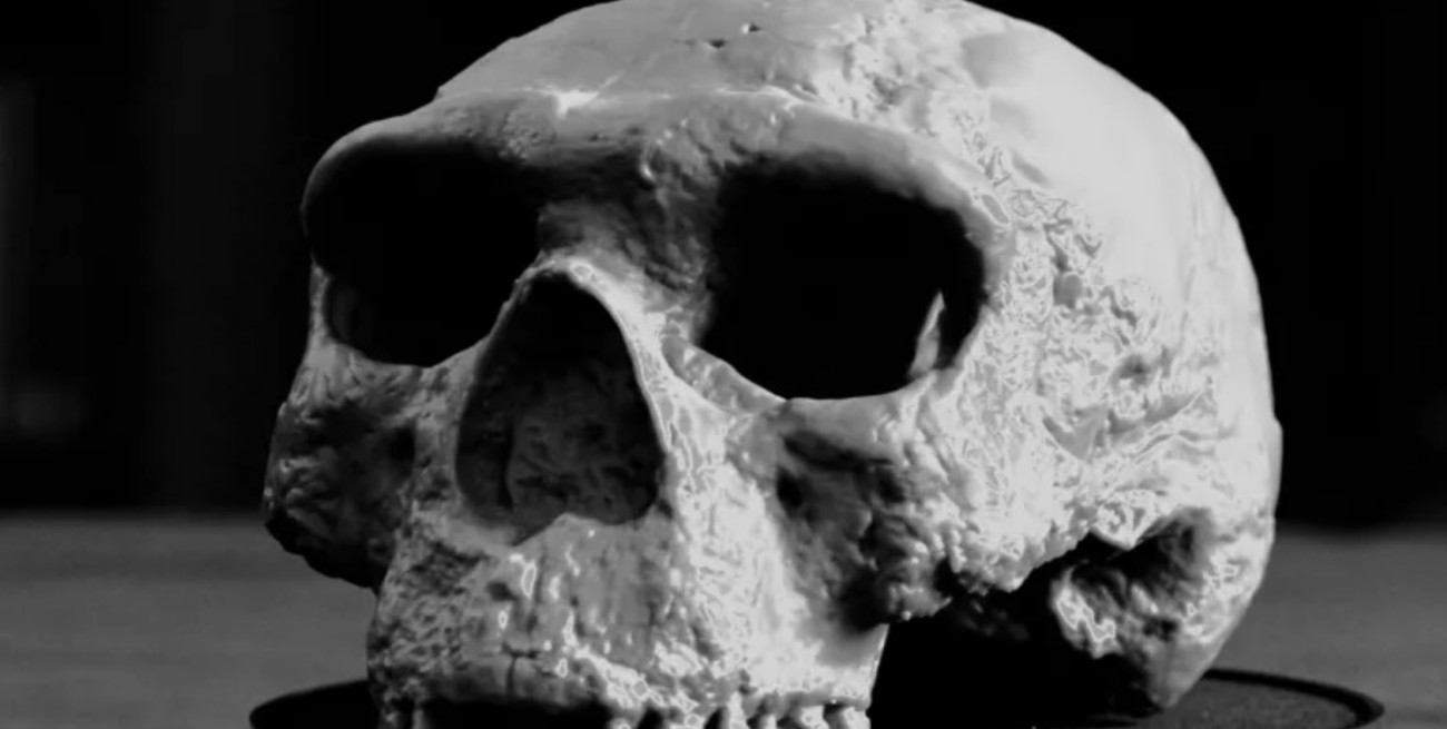 Investigadores aseguran que hallaron un cráneo humano de un millón de años