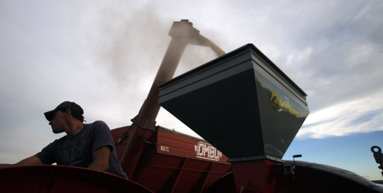 Una parte de las “retenciones cero” mejoró el precio a los productores