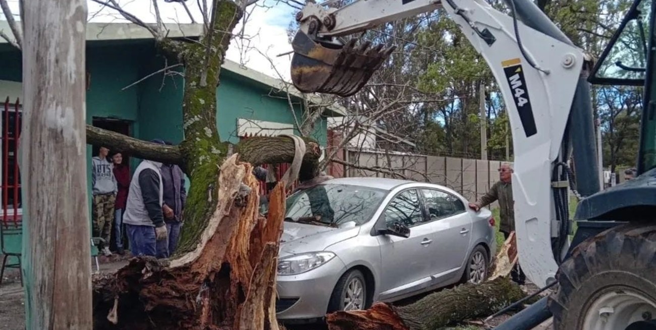 Rufino: vientos superiores a 60 km/h derribaron árboles y causaron daños