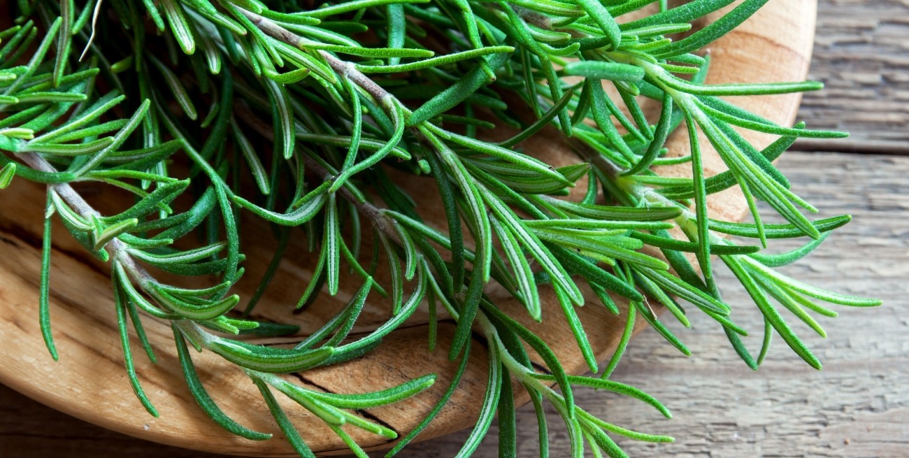 Hervir romero en casa: el truco casero que pocos conocen y que sorprende por sus beneficios