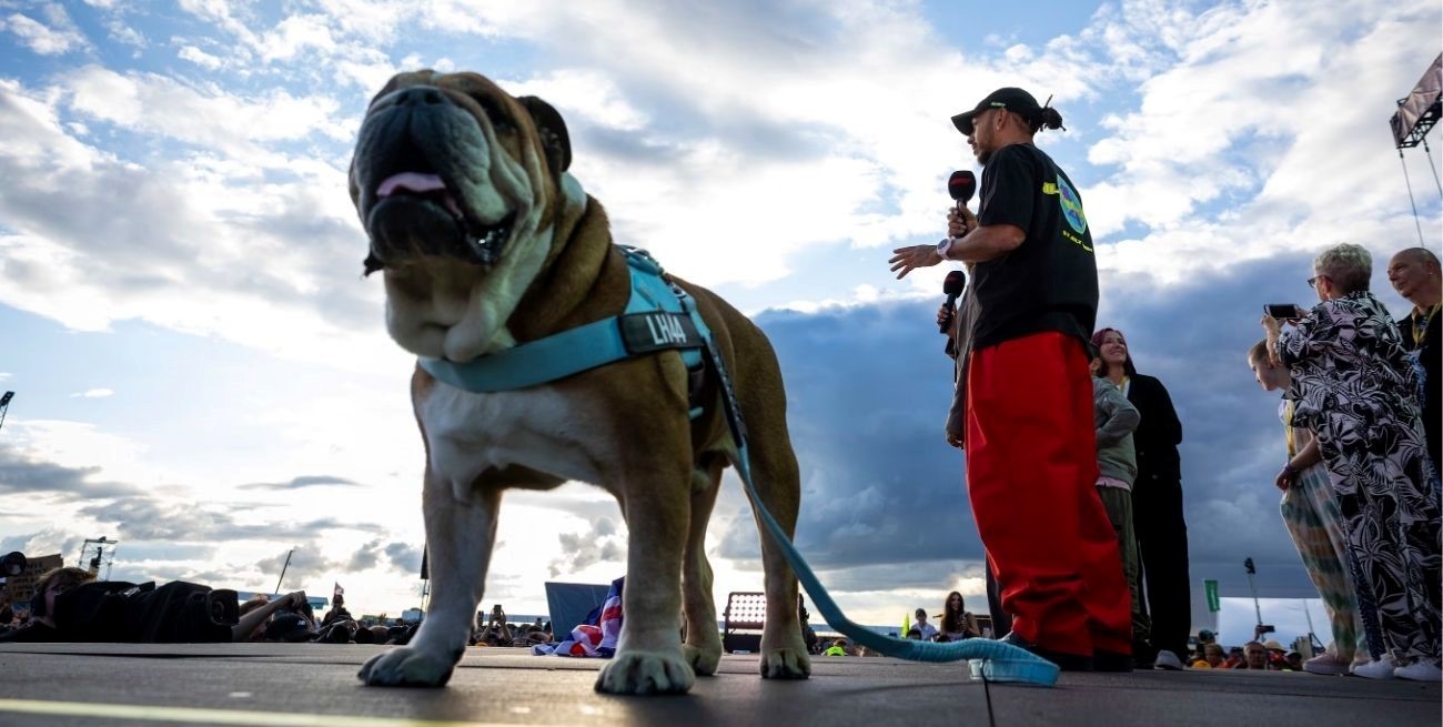 Murió Roscoe, el icónico perro de Lewis Hamilton