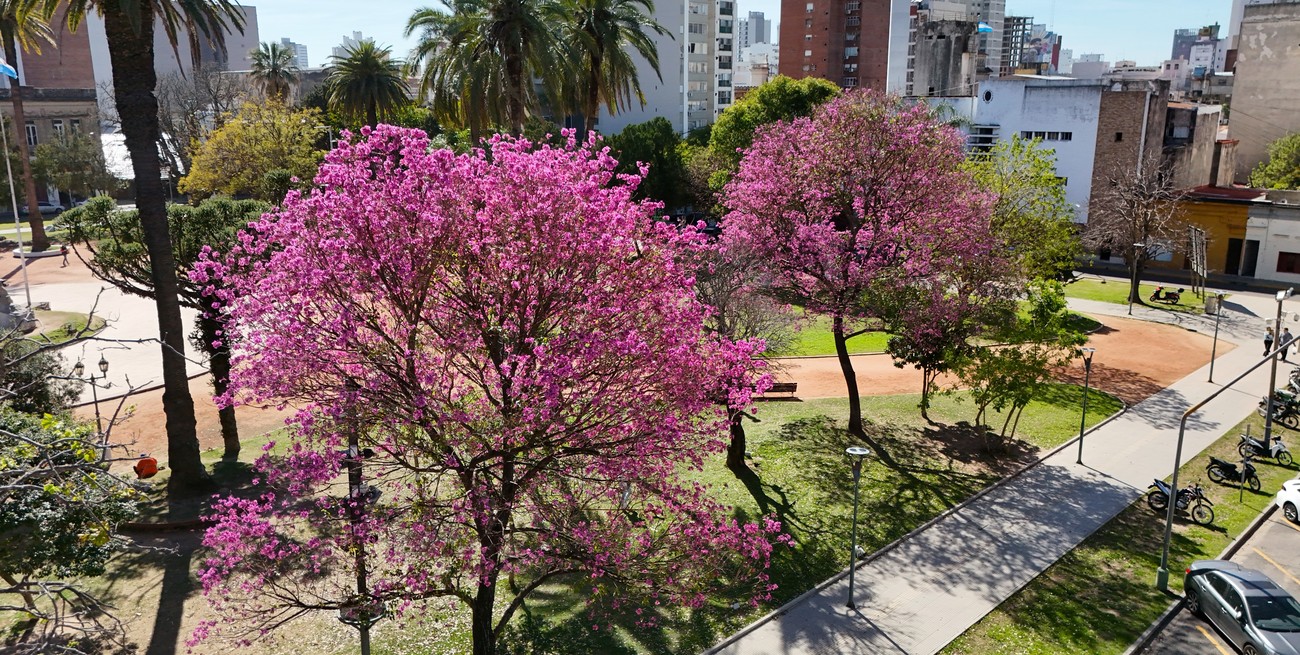 Qué dice el pronóstico del tiempo este martes en la ciudad de Santa Fe