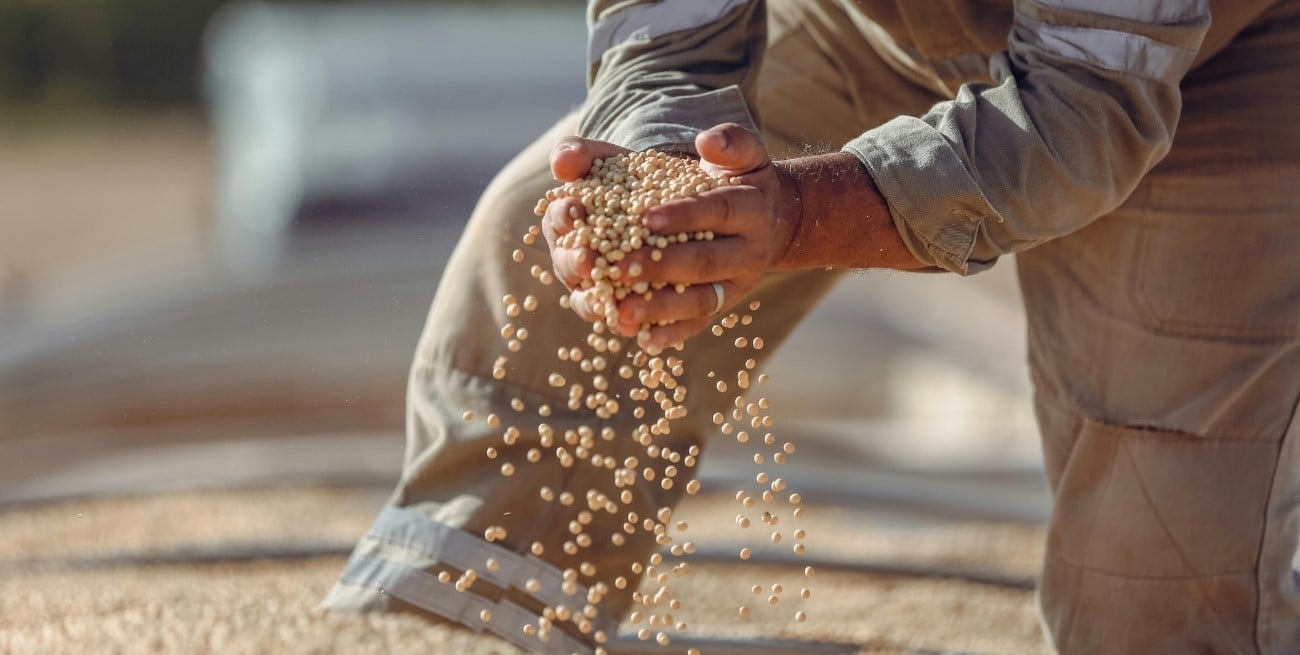 La recaudación tributaria cayó en noviembre, medido contra la inflación