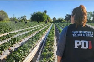 El campo fue allanado el 17 de septiembre de 2025 tras la denuncia de tres empleados.