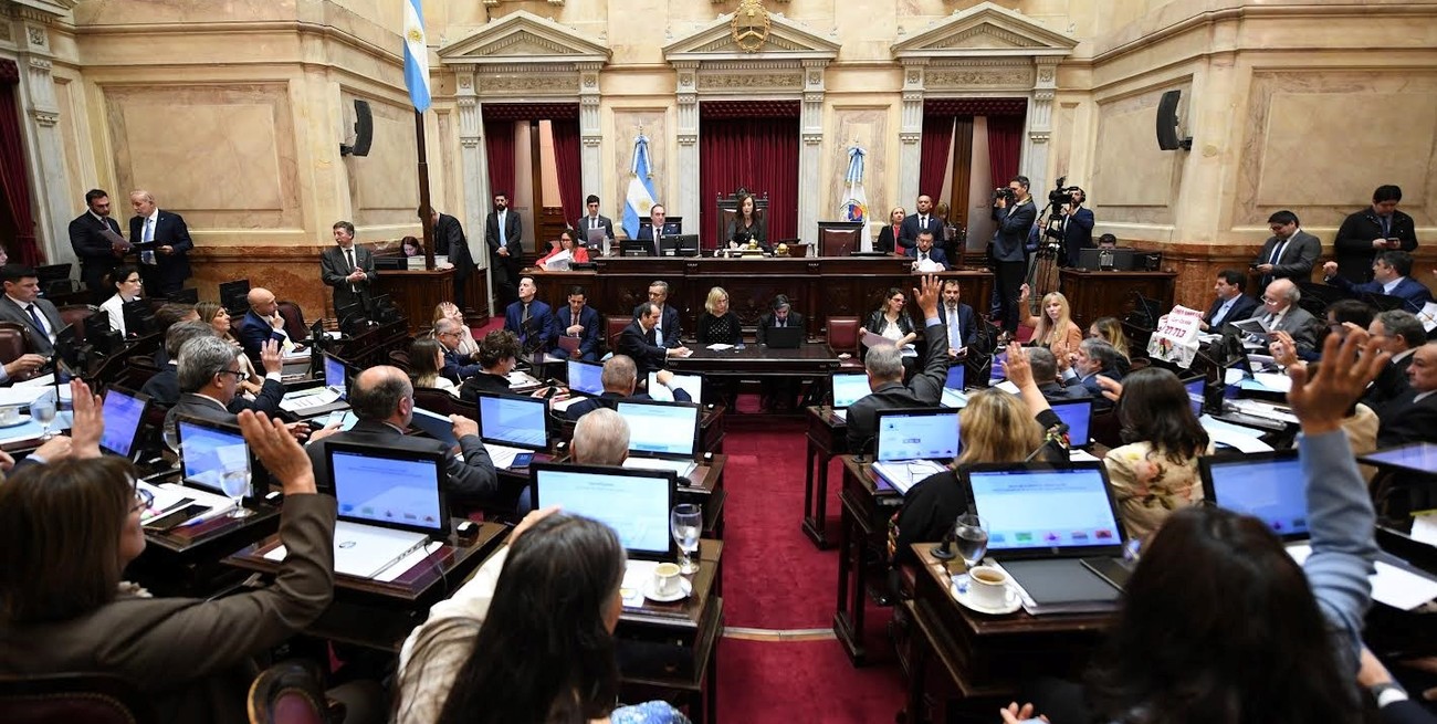 El Senado rechazó el decreto que paraliza la Ley de Emergencia en Discapacidad
