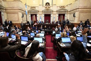 Sobre el final de la sesión de este jueves, se aprobó el rechazo planteado sobre tablas referido al decreto que promulga la Ley de Emergencia en Discapacidad. Foto: HCSN.