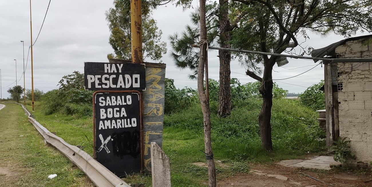 Científicos locales advierten riesgos ocultos en el consumo de sábalos del río Salado en Santa Fe