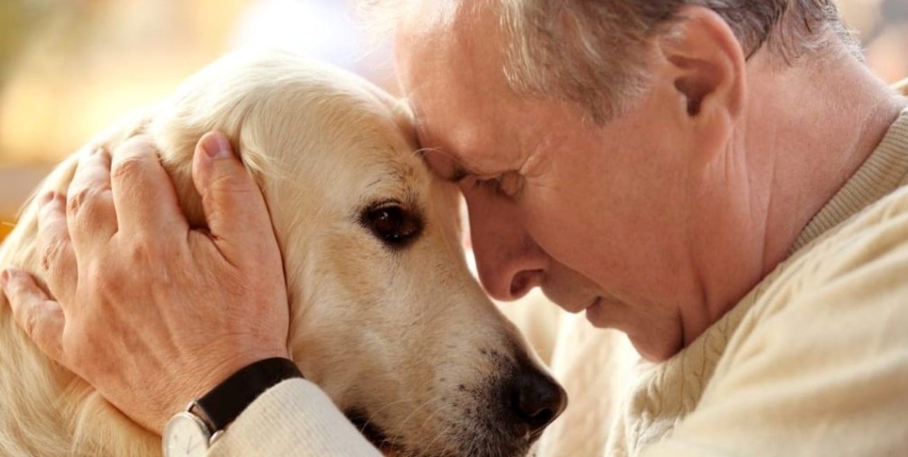Tener una mascota puede ralentizar la pérdida de memoria en adultos mayores que viven solos