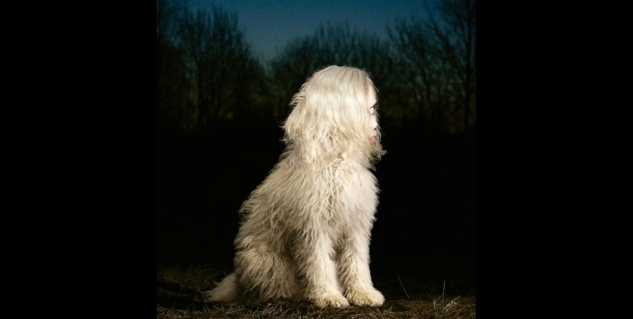 Juana Molina lanza "Doga", primer álbum con nuevas composiciones en ocho años