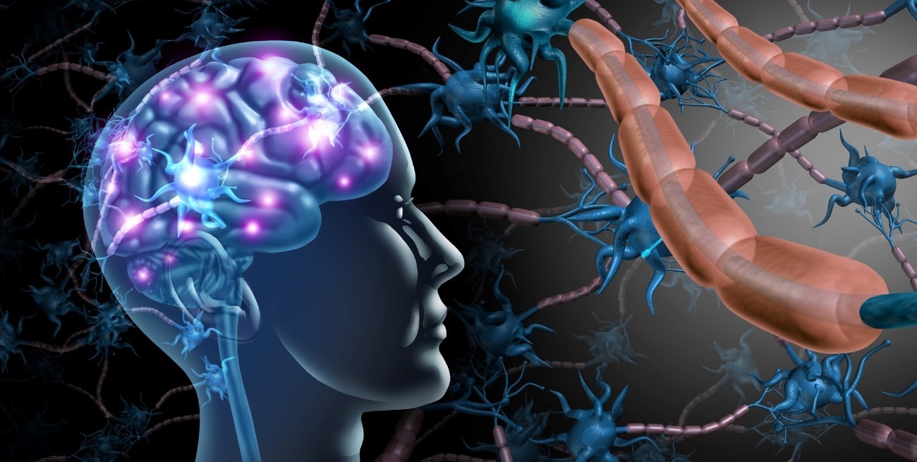 Cómo el cerebro forma hábitos motores: nuevo estudio de Stanford