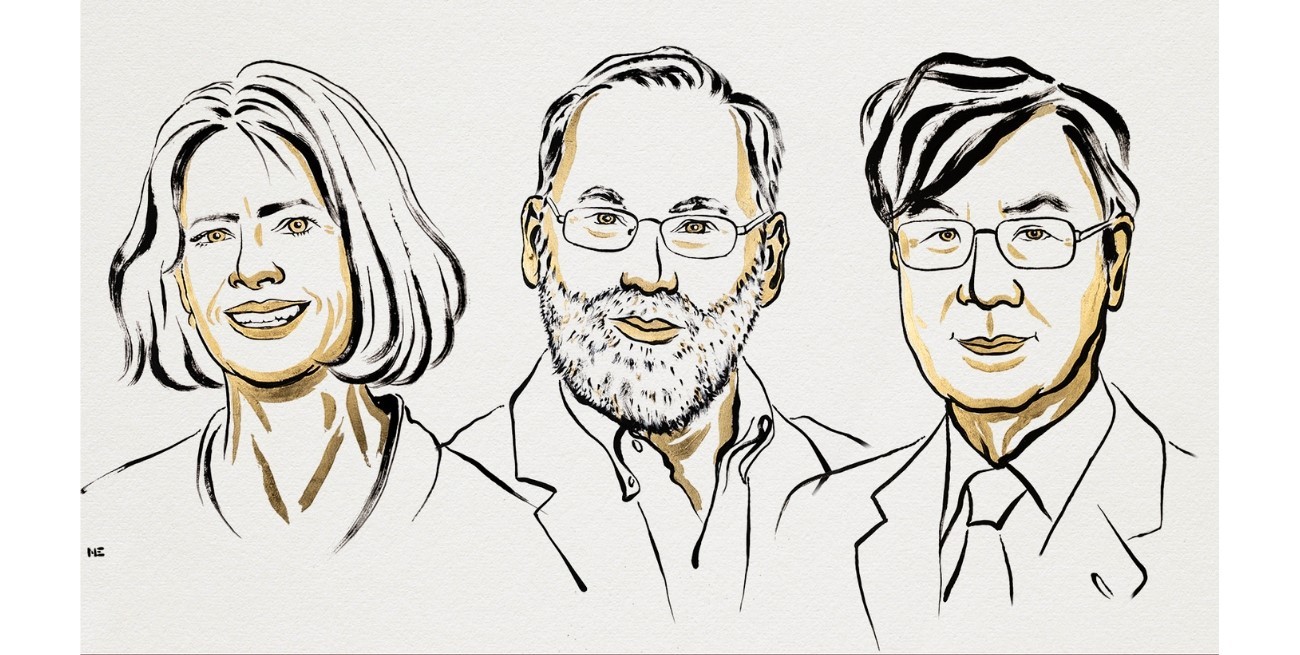 Mary E. Brunkow, Fred Ramsdell y Shimon Sakaguchi recibieron el Nobel de Medicina
