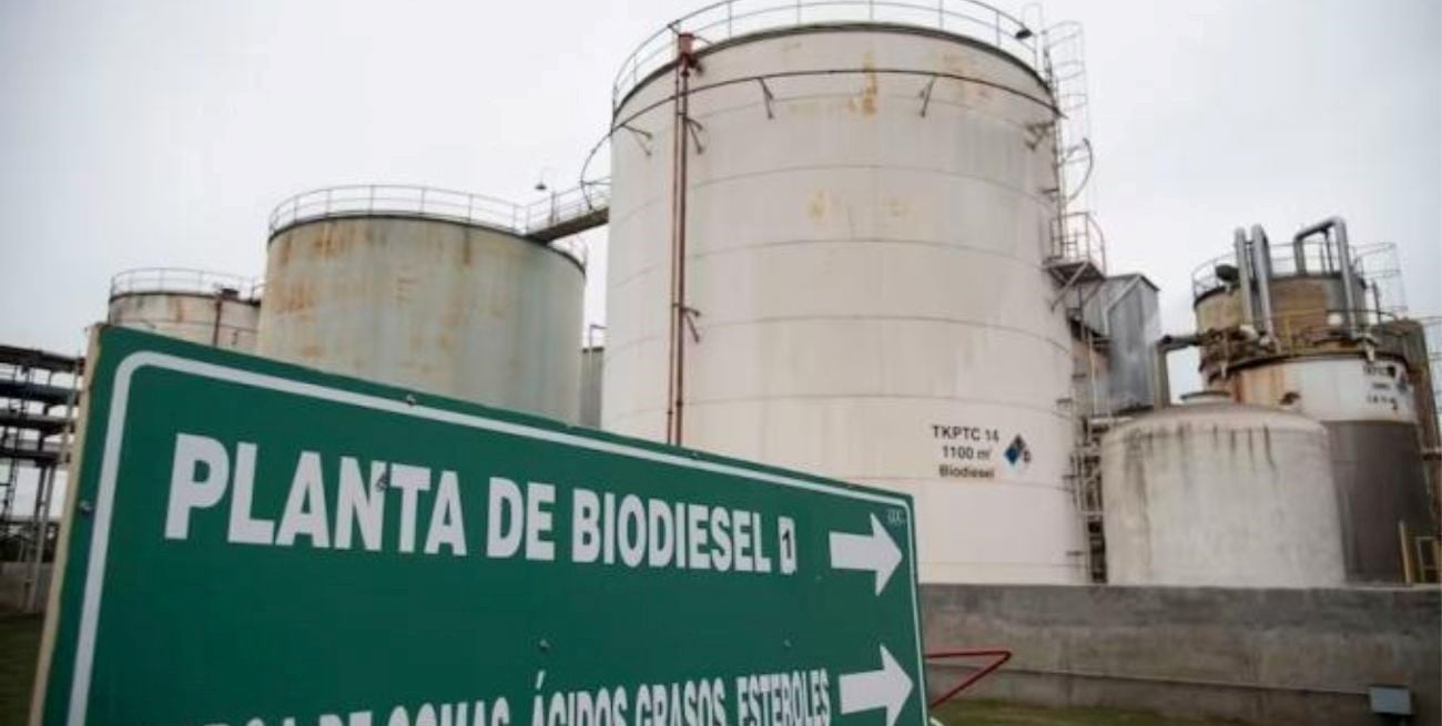 El costo fiscal pone en jaque al proyecto de ley de biocombustibles
