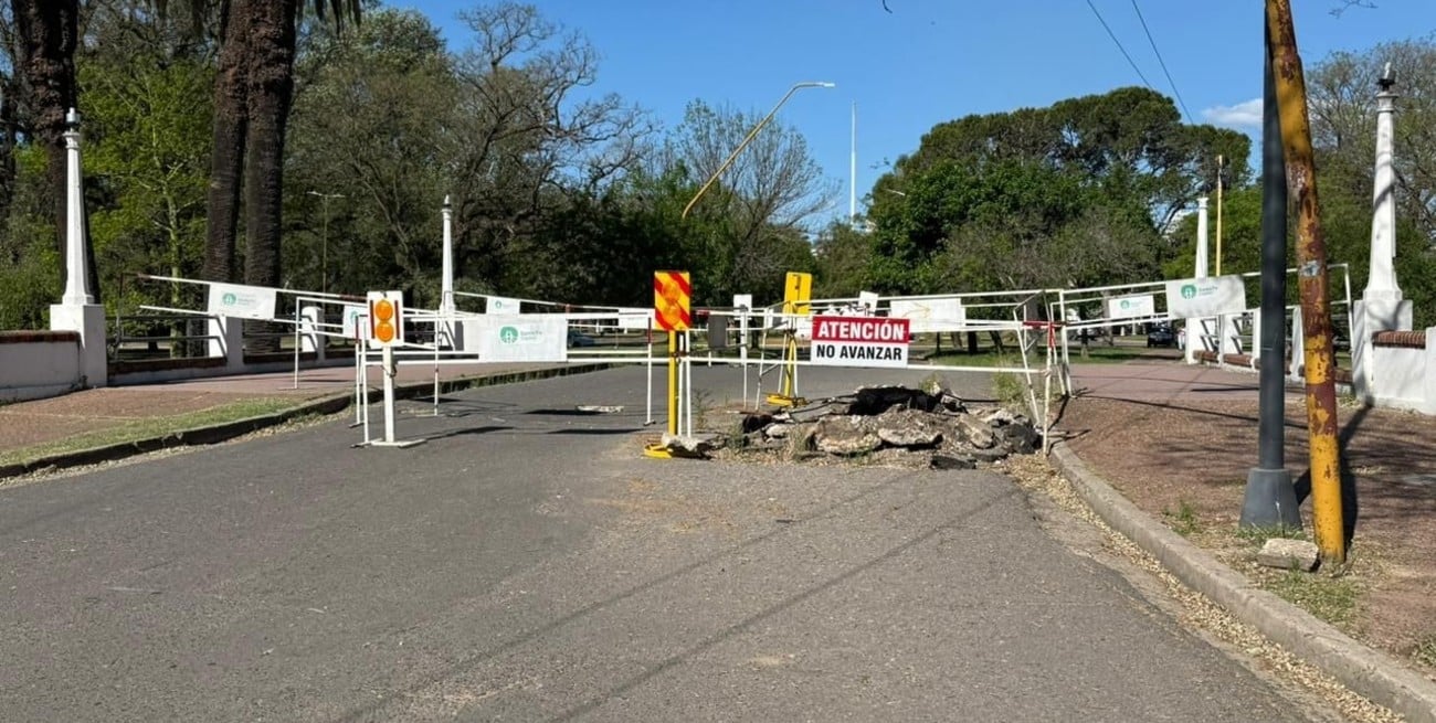 Un nuevo socavón puso en riesgo uno de los puentes del Parque Garay: quedó cerrado