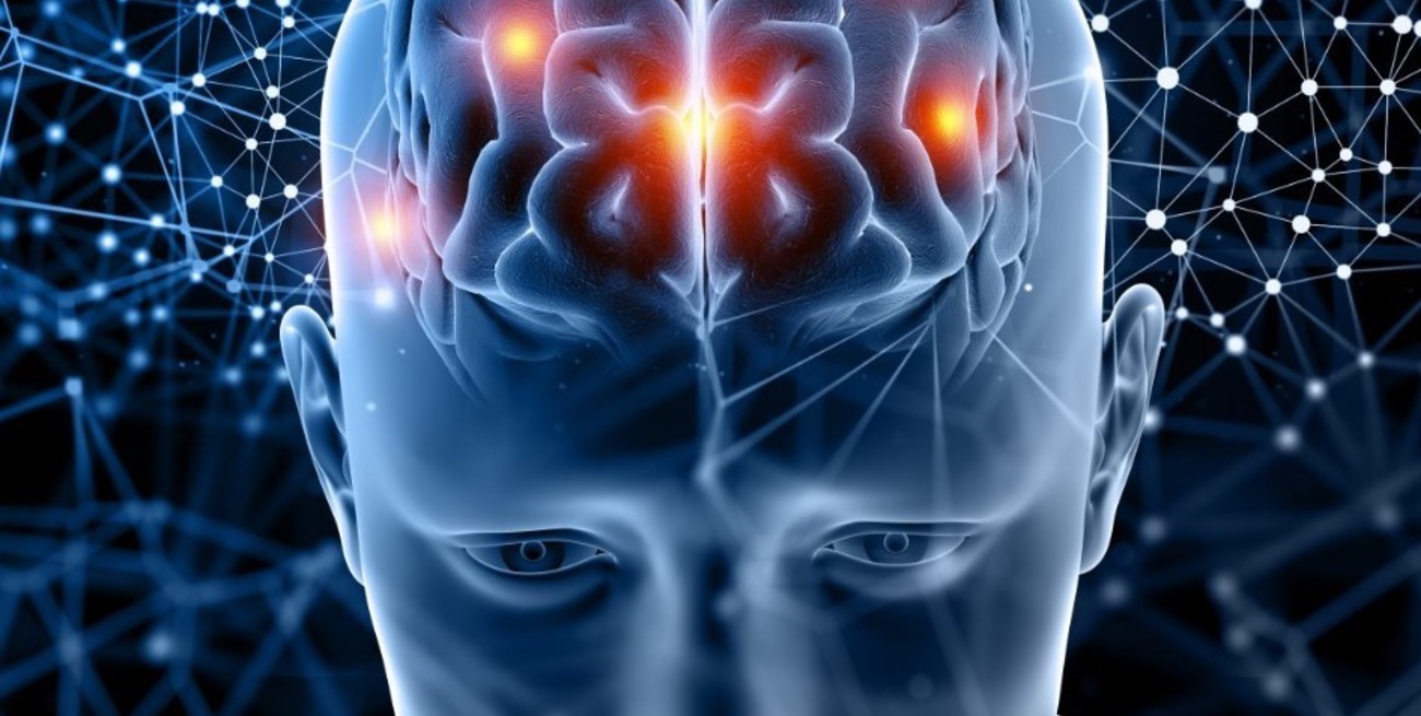 Investigadores descubrieron por qué recordamos unas cosas y otras no