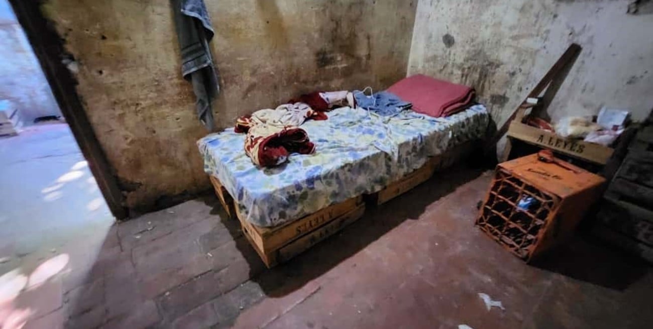 De Chaco a Arroyo Leyes: comenzó el juicio por trata laboral en un campo de frutillas