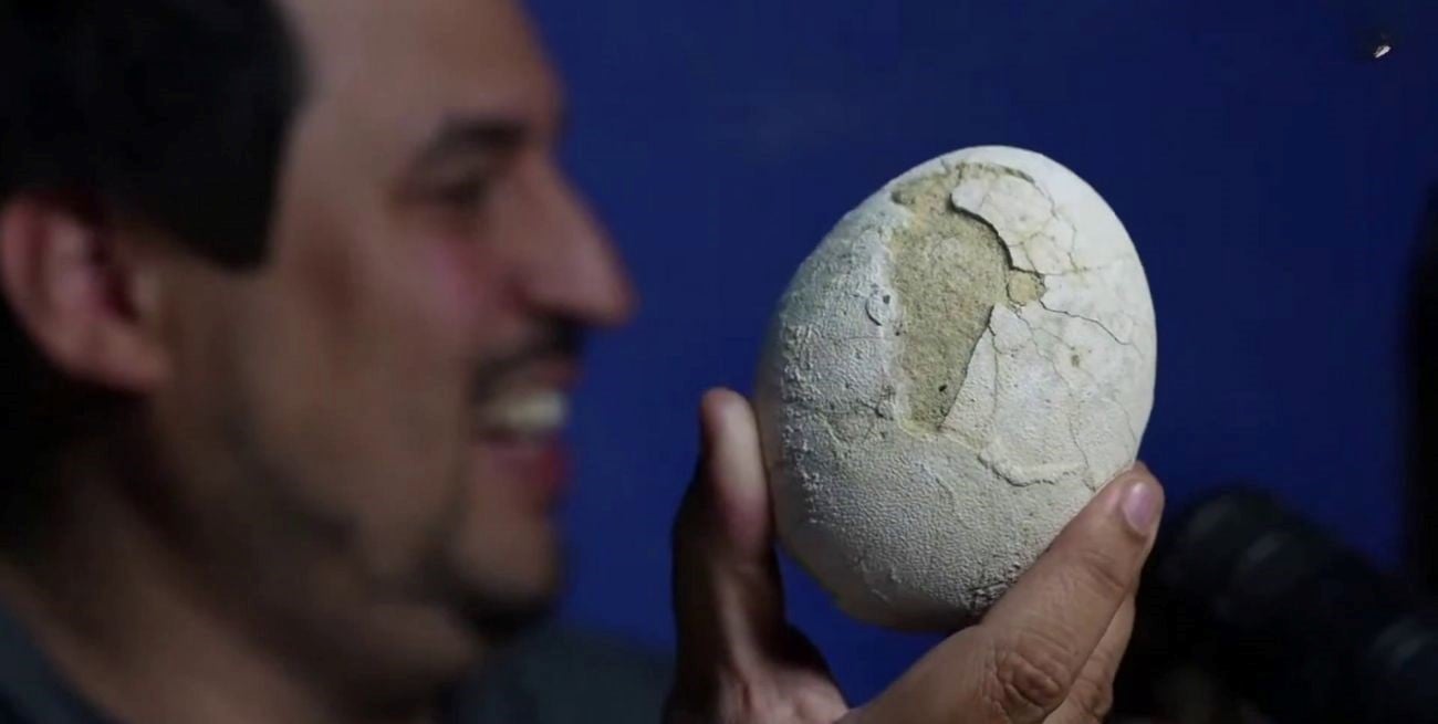 Científicos del CONICET hallaron un nido de huevos de un dinosaurio carnívoro en Río Negro