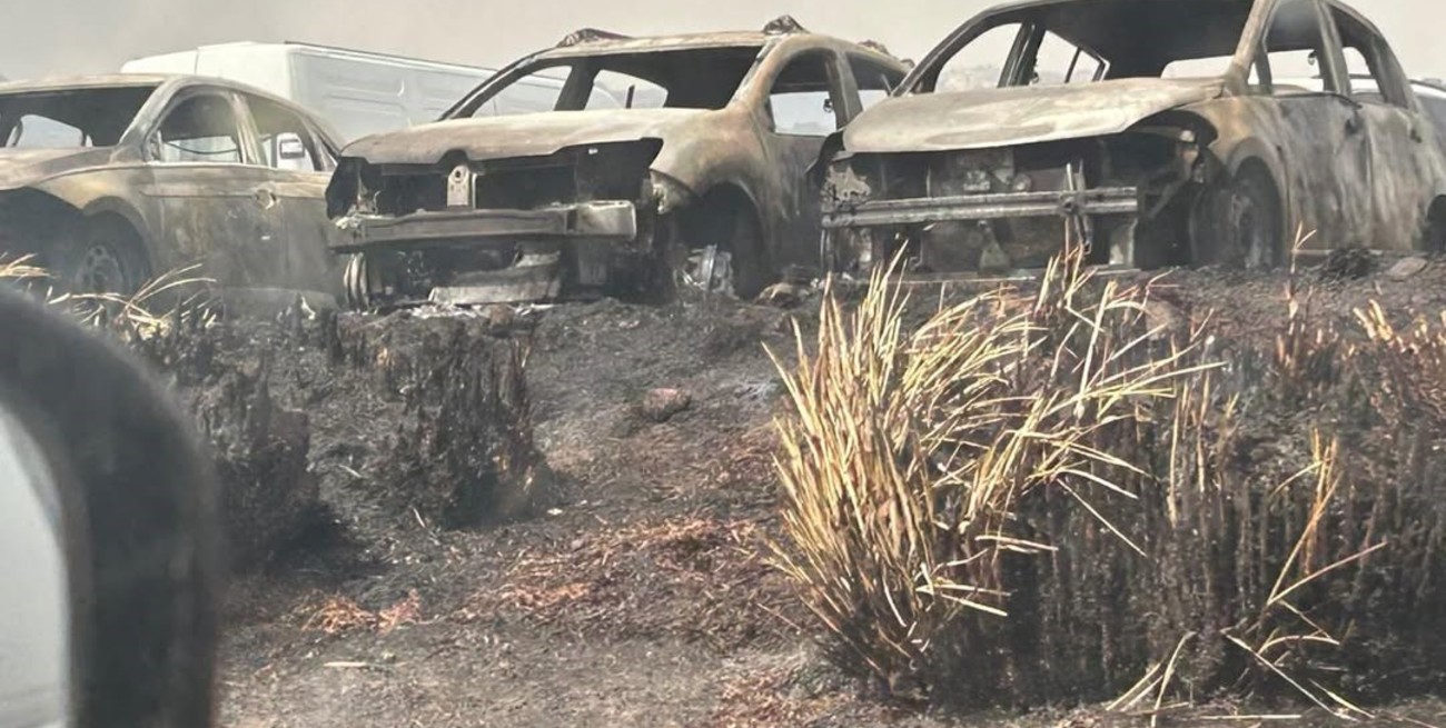 Córdoba: incendio en Quebrada del Condorito dejó 14 autos quemados y más de 130 evacuados