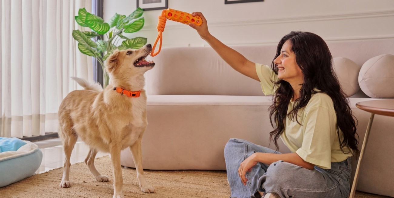 Cómo mantener la casa fresca y proteger a los animales del calor