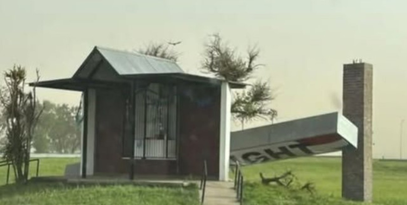 Video: operativos por baja visibilidad en rutas y árboles caídos en el sur santafesino