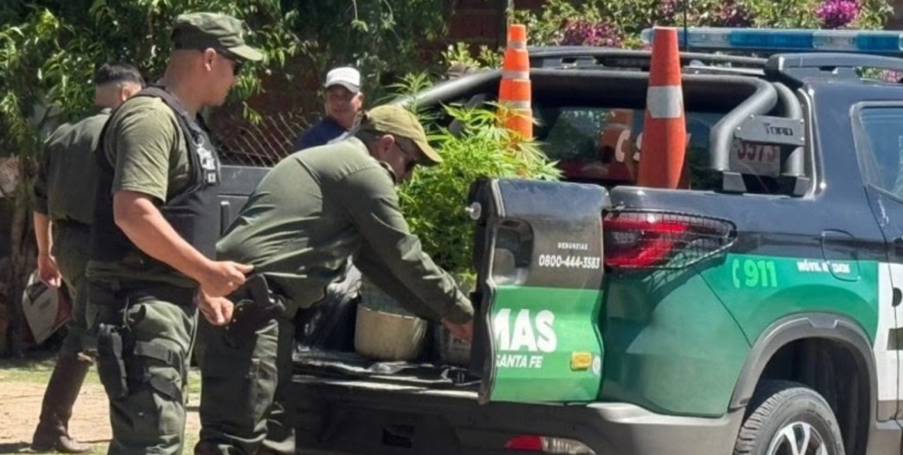 Operativo policial en Malabrigo: cuatro detenidos por abigeato y hallazgo de marihuana
