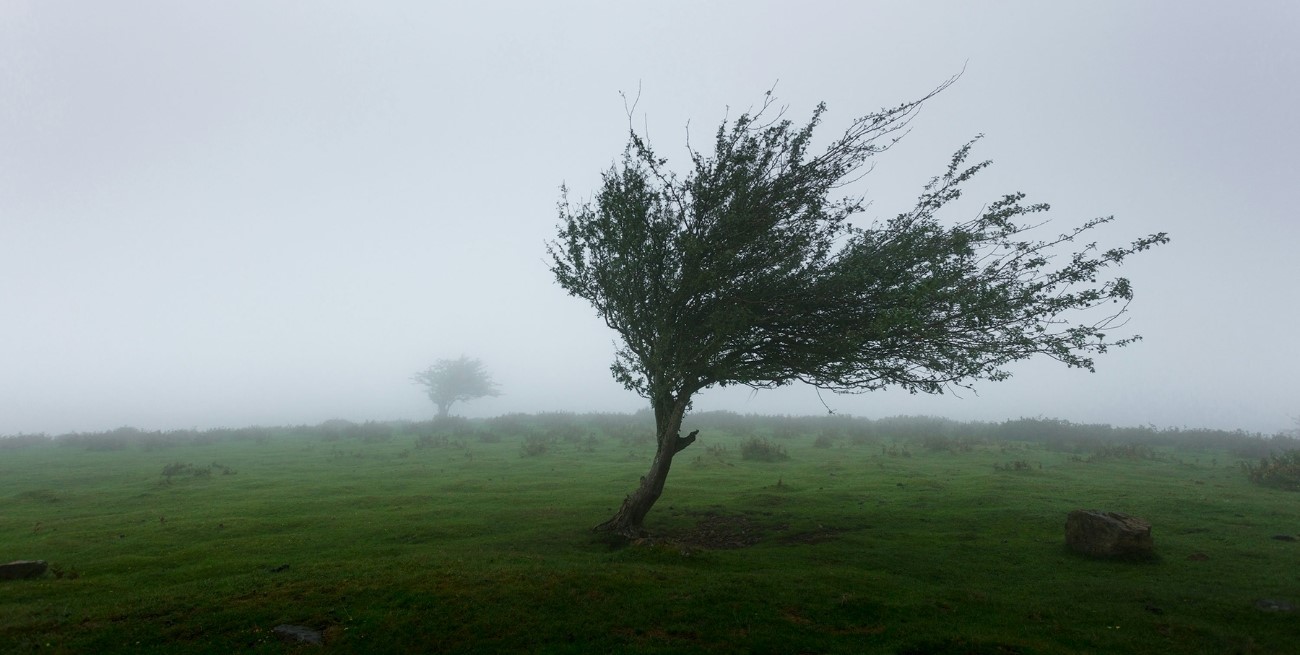 Alerta amarillo por viento en Buenos Aires, Córdoba y otras seis provincias de Argentina