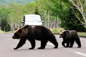 Las autoridades instan a la población a mantenerse alerta.