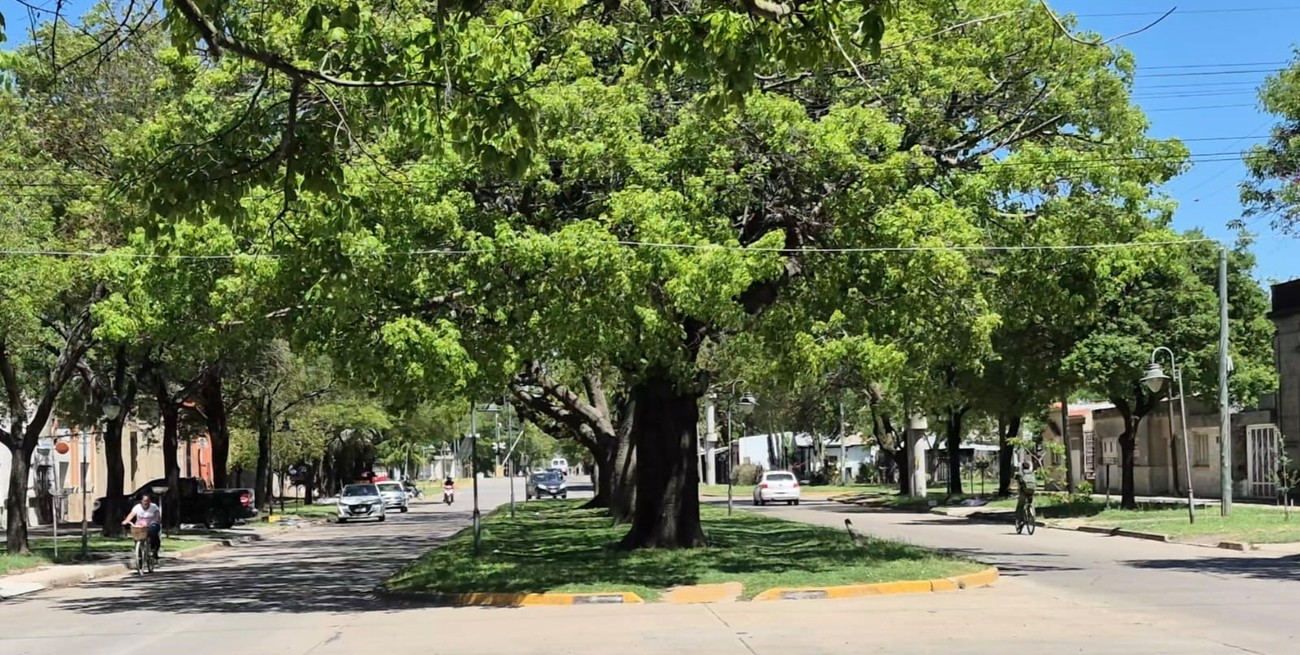 Entradera en una carnicería de Casilda: dos delincuentes armados se llevaron dinero y medio costillar 